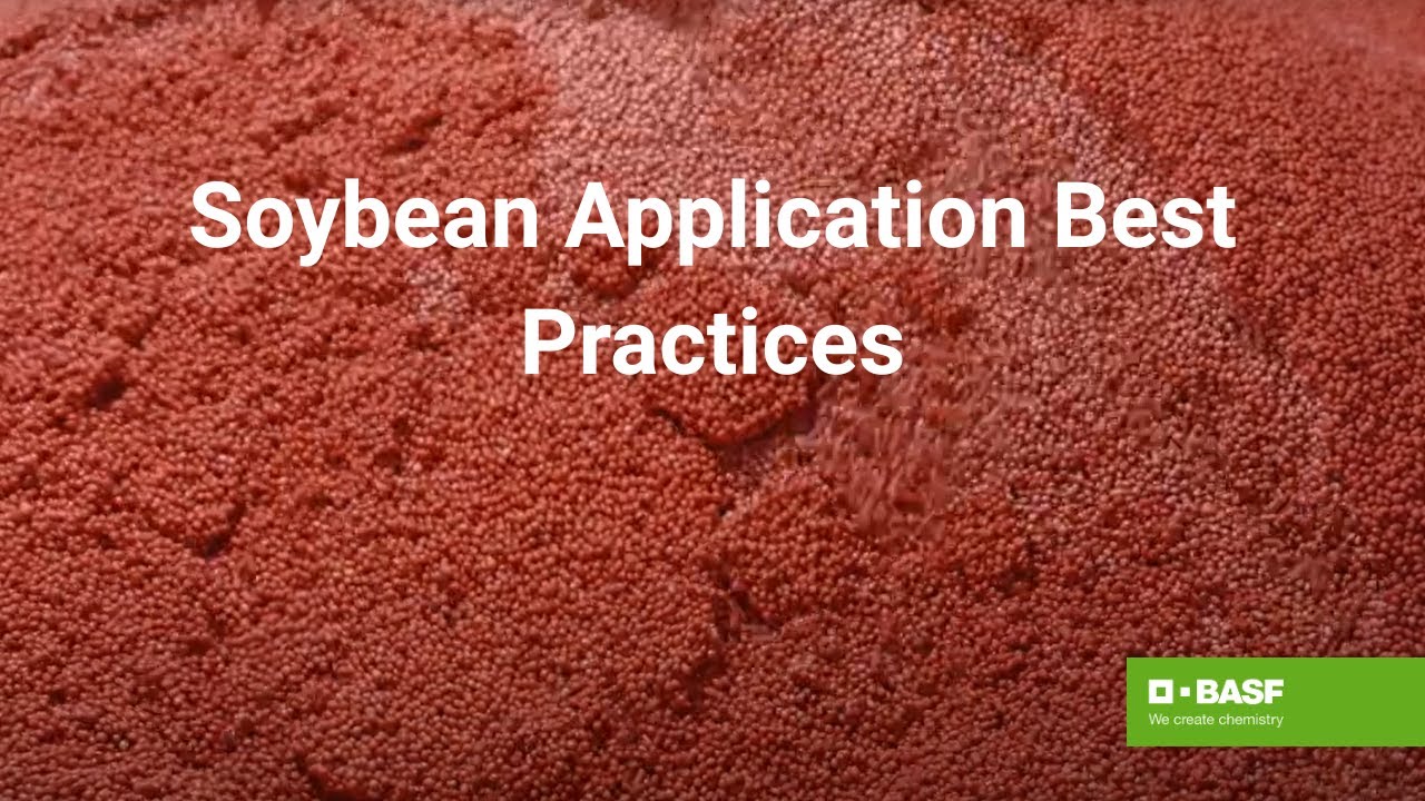 Understanding Online Cricket ID: Benefits, Security, and Best Practices